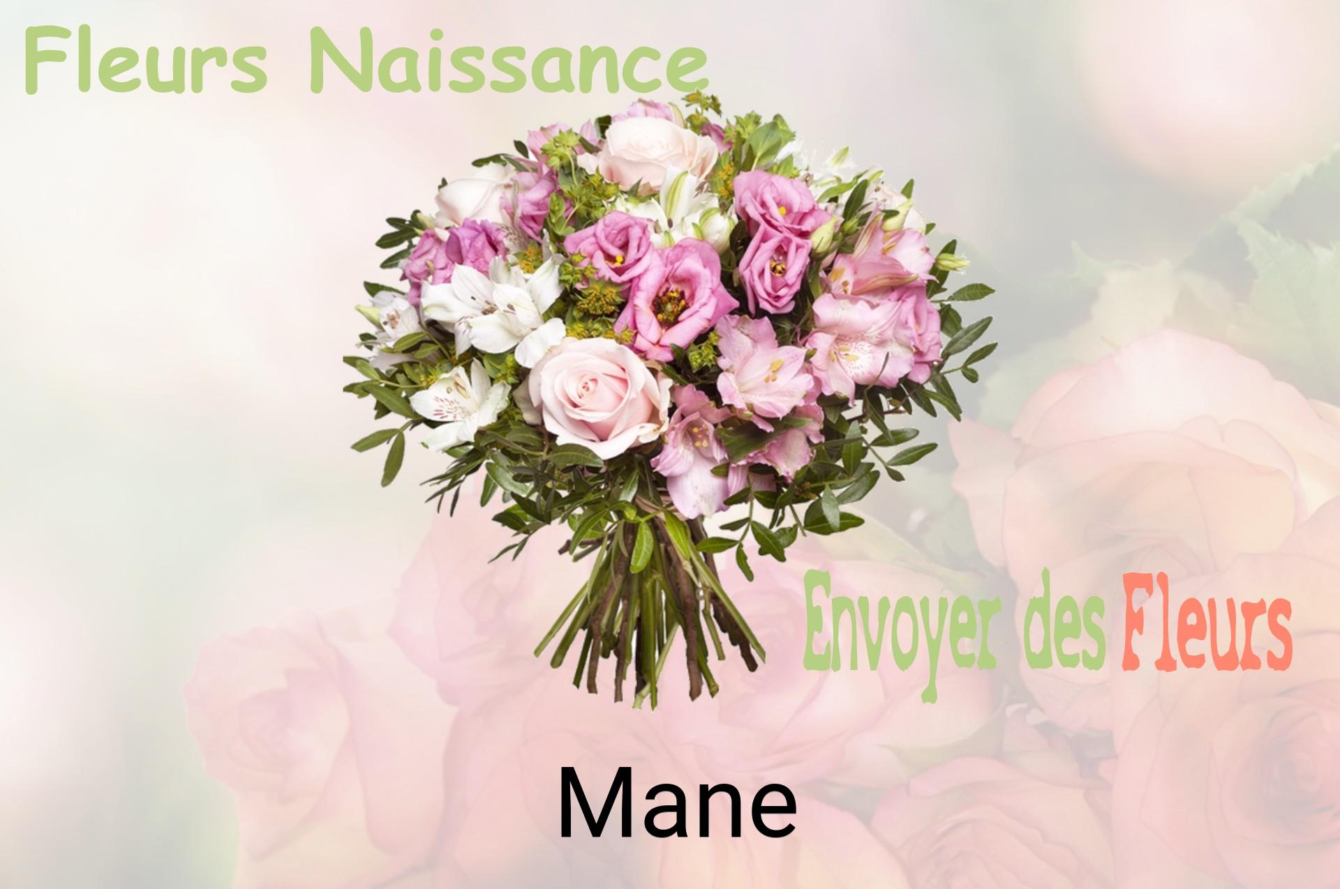 Bouquet de fleurs de naissance livré à Mane